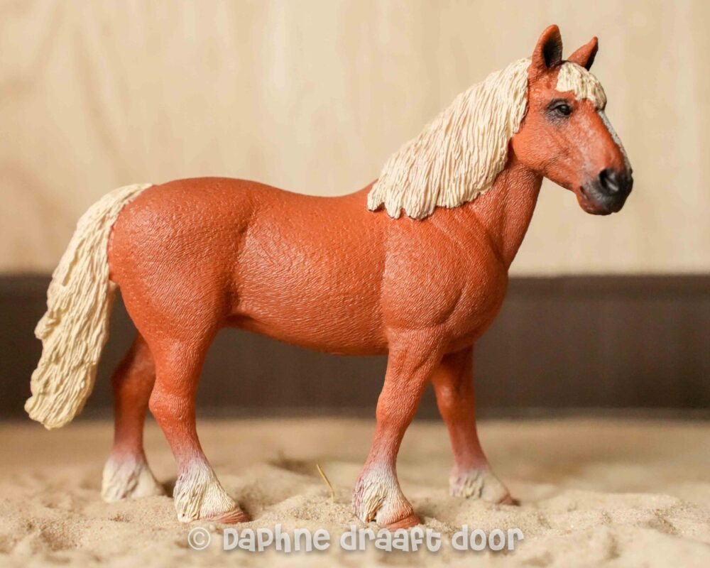 Belgische fokmerrie 13941