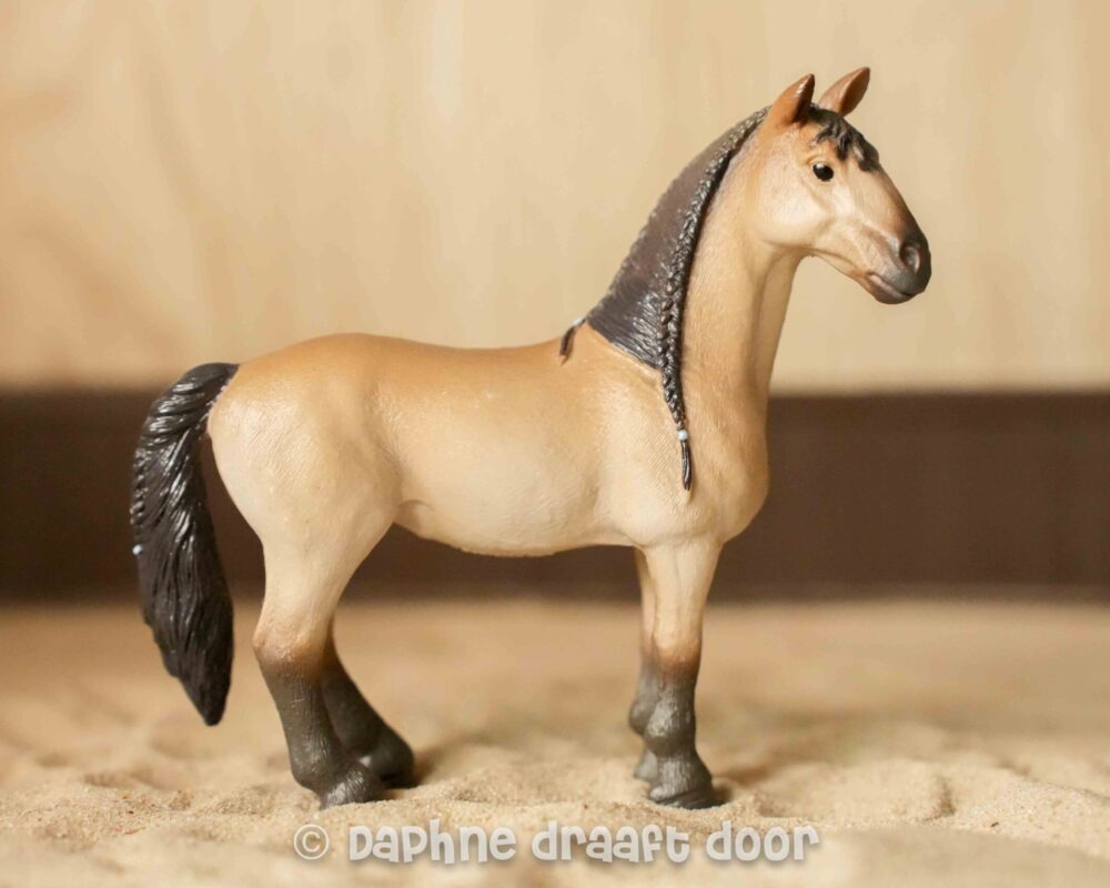 Criollo merrie 13948