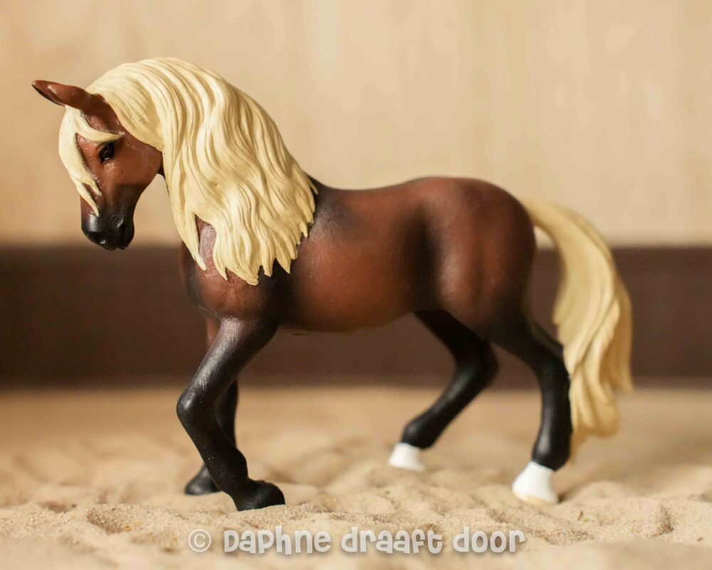 Paso Peruano hengst 13952