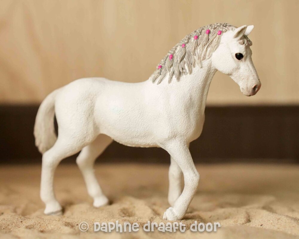 Quarter merrie uit set 42486