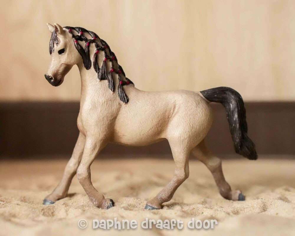 Exclusieve Arabier merrie 72154