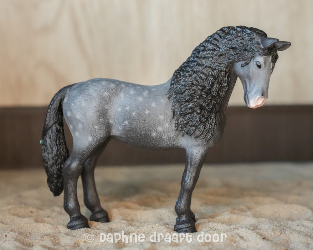 Pura Raza Espanola merrie 13922