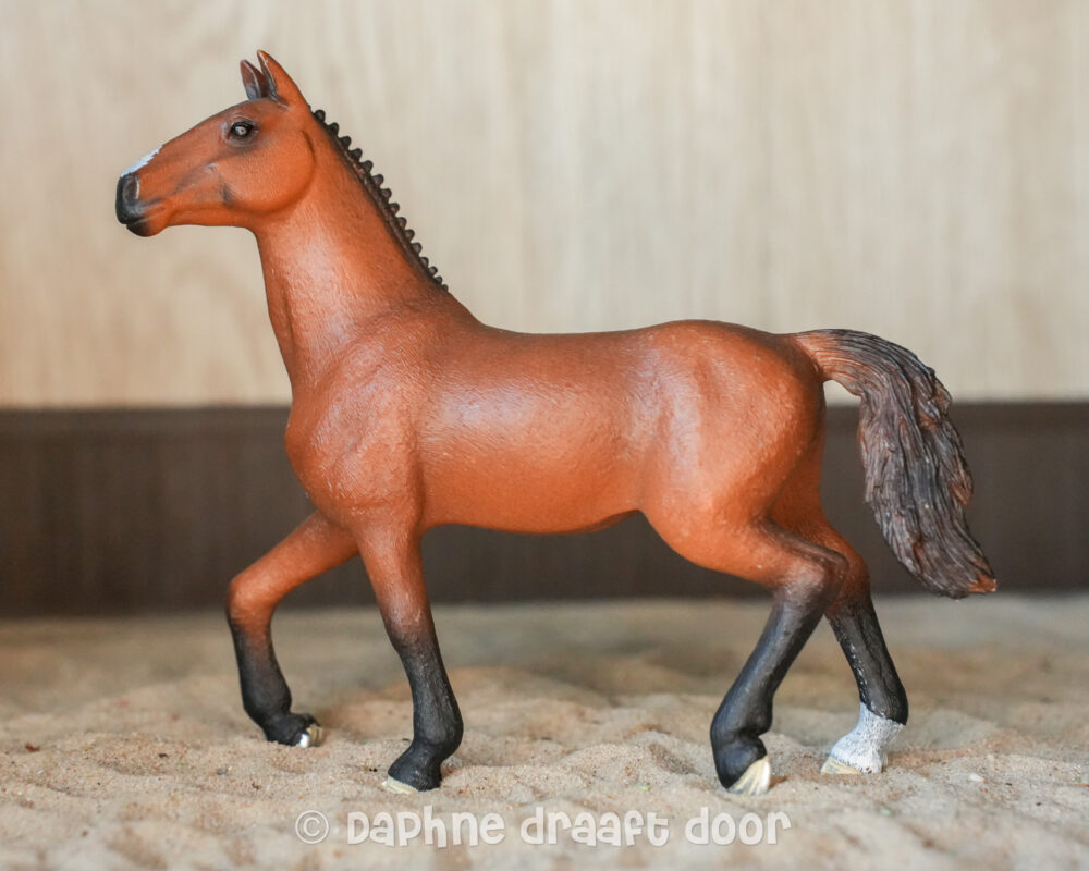 Oldenburger merrie 13945