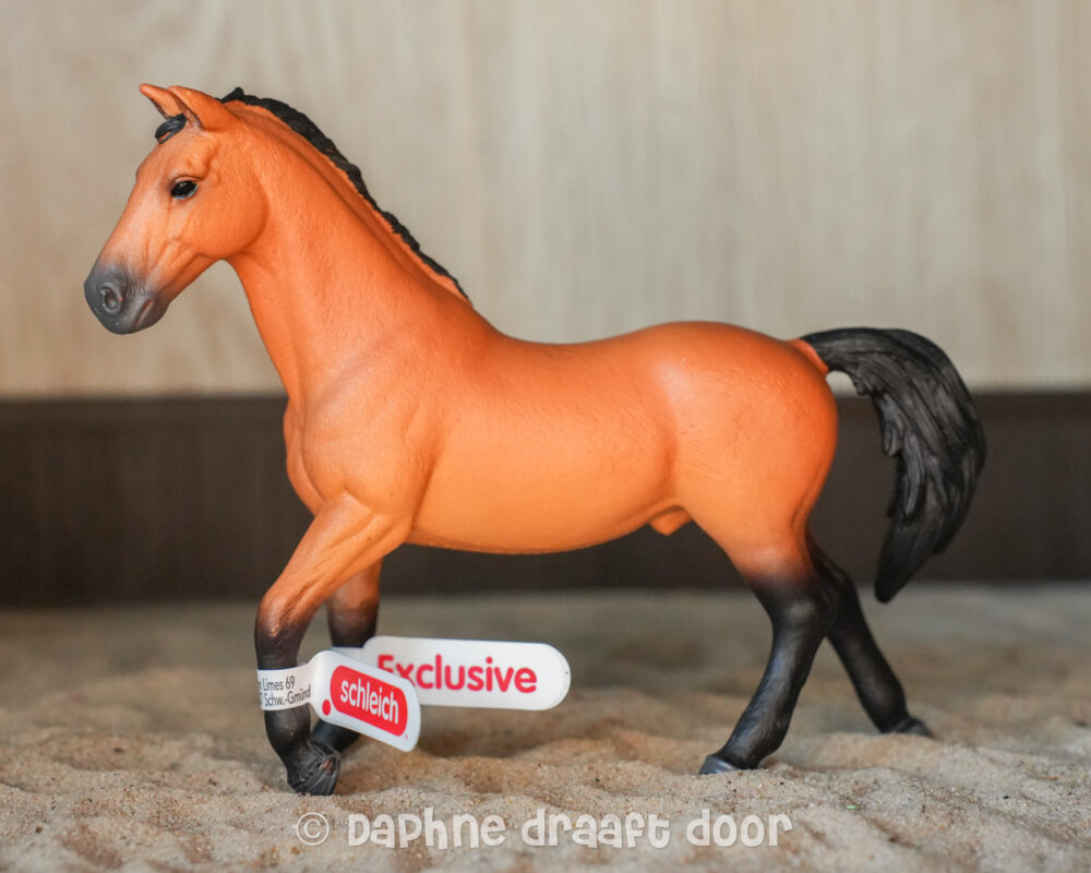 Trakehner hengst exclusief 72136