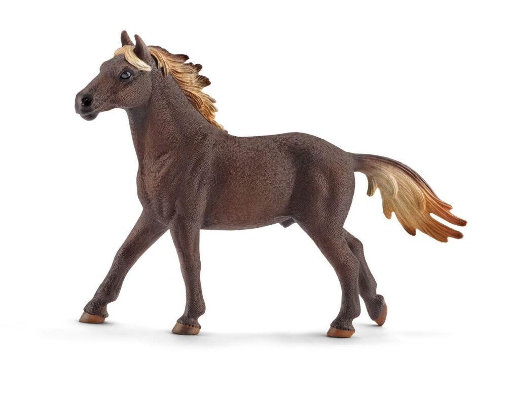 Mustang hengst 13805