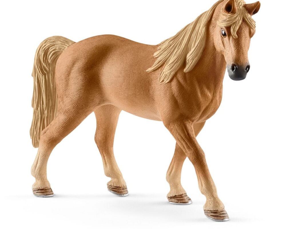 Tennessee Walker merrie 13833