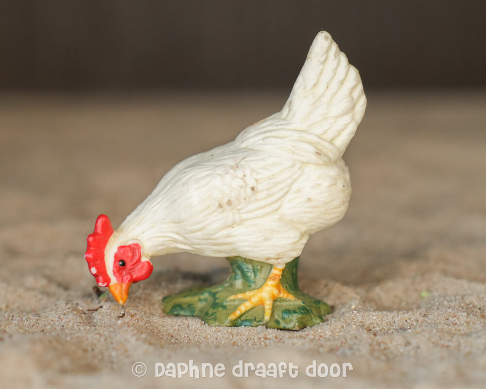 Kip hen wit etend 13126