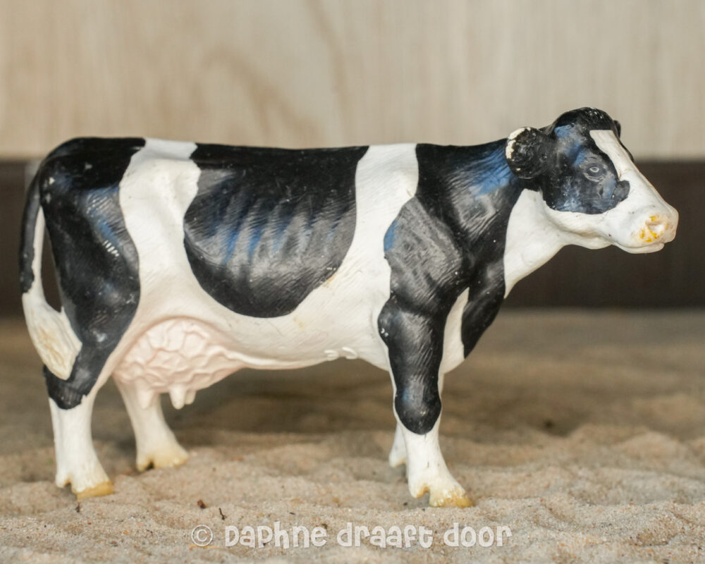 Holstein koe 13140