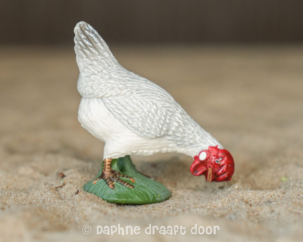 Kip hen wit etend 13647