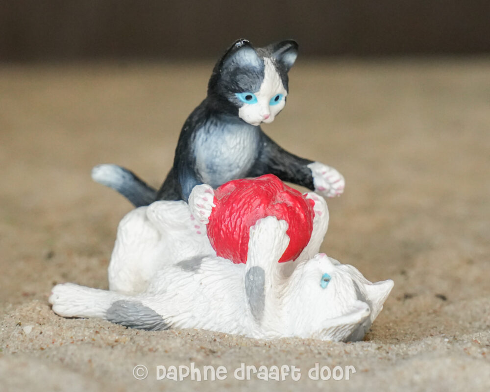 Kittens kat spelend 13724