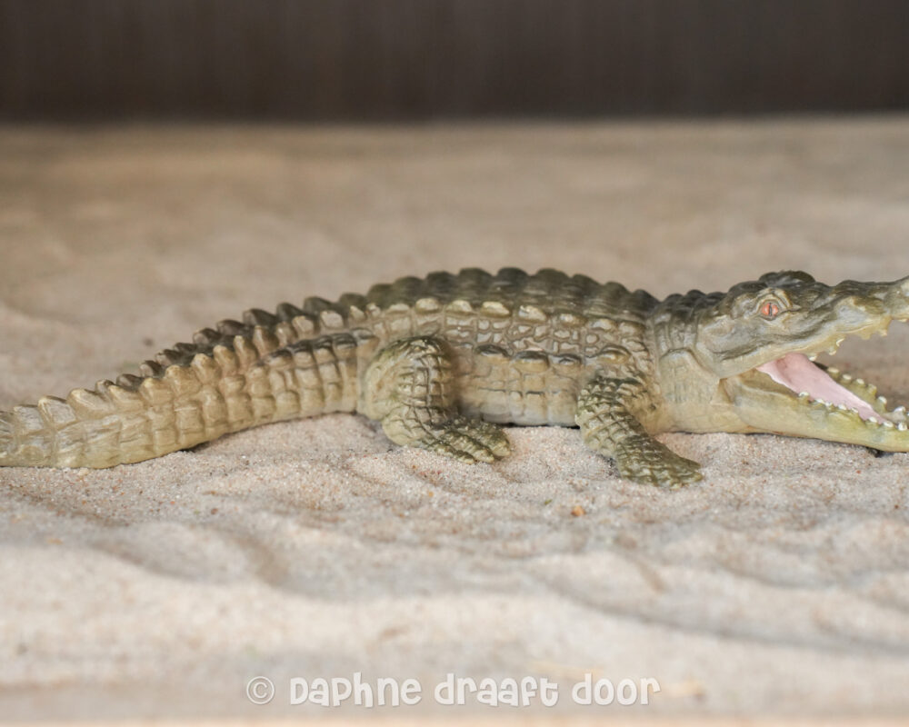 Krokodil 14305