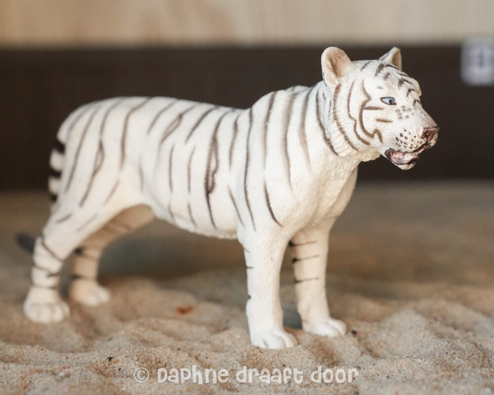 Witte tijger 14383