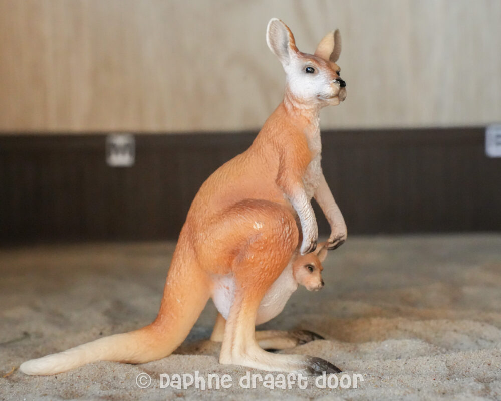 Kangoeroe met jong 14603