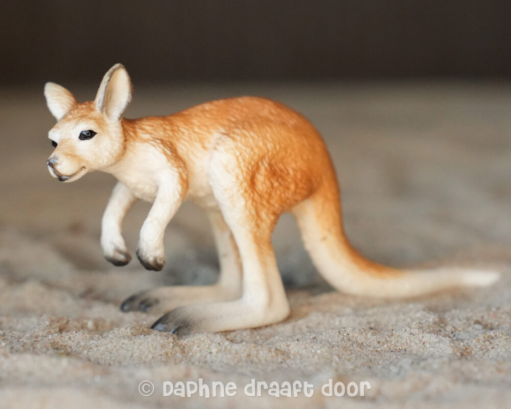 Kangoeroe jong 14608