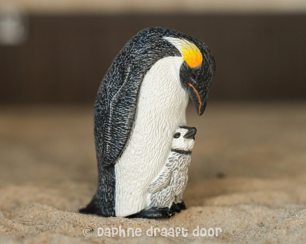 Pinguin met jong 14632