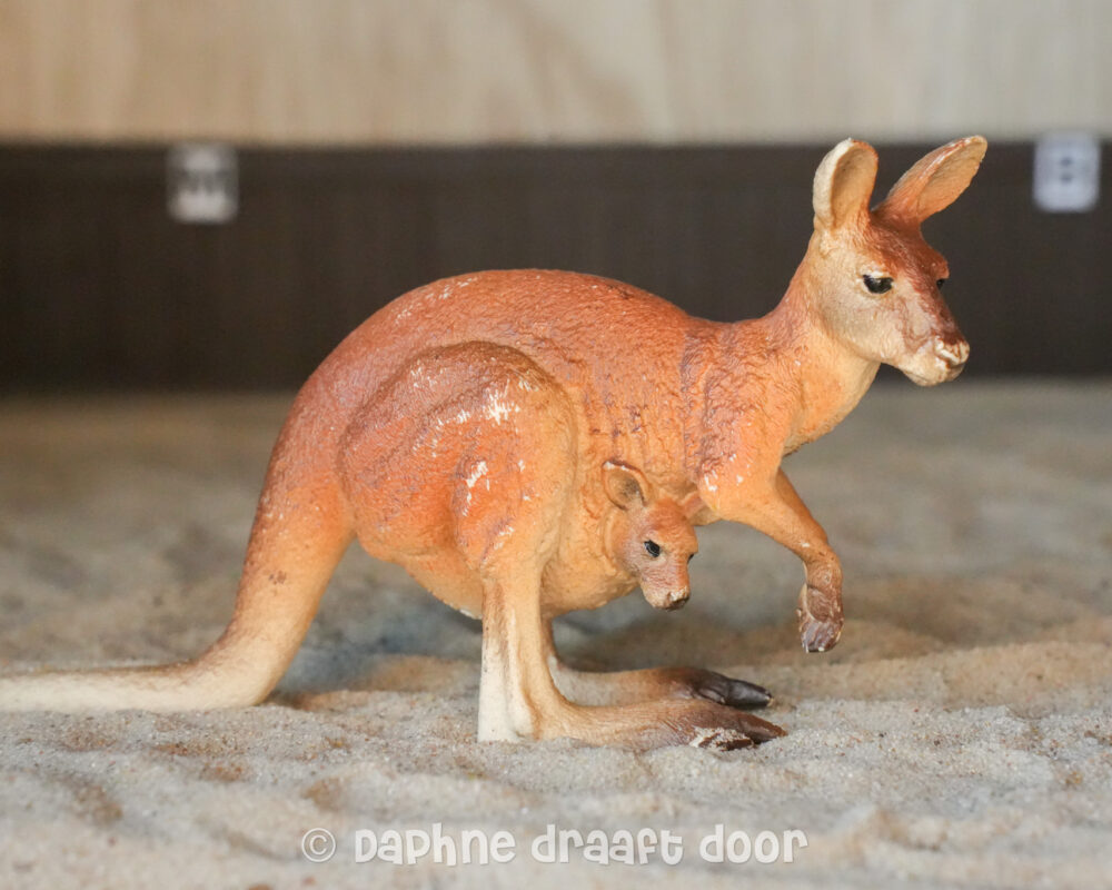 Kangoeroe met jong 14756