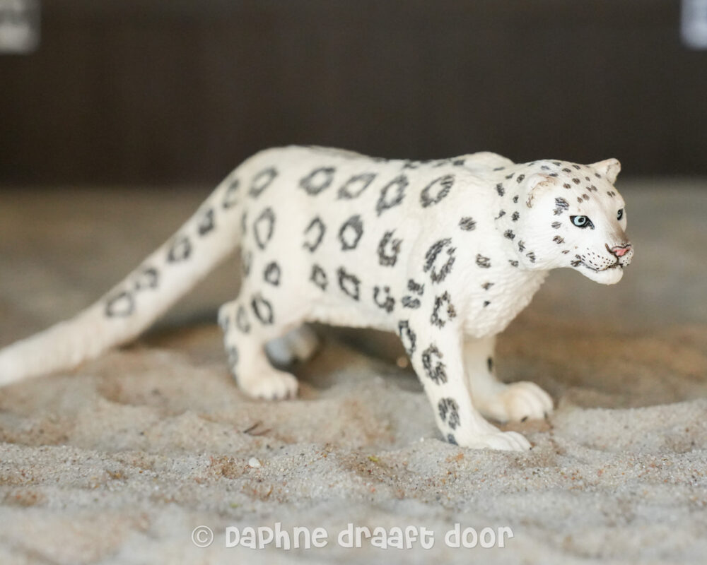 Sneeuwluipaard 14838