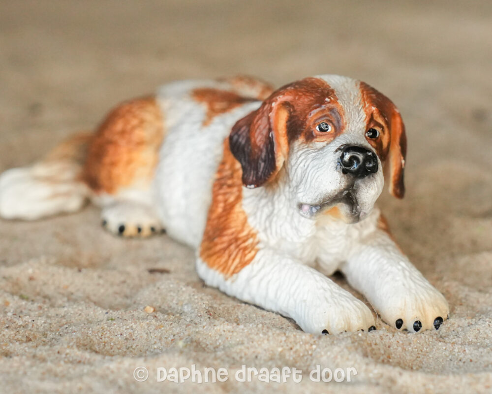 Sint Bernard hond liggend 16380