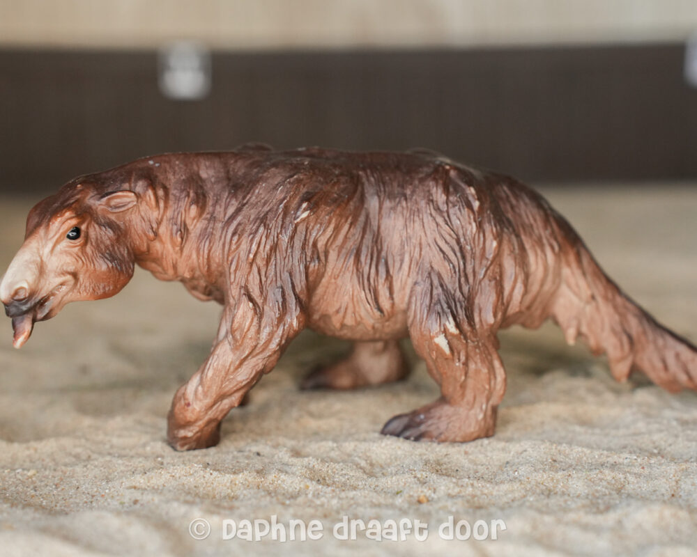 Prehistorische reuze luiaard 16518