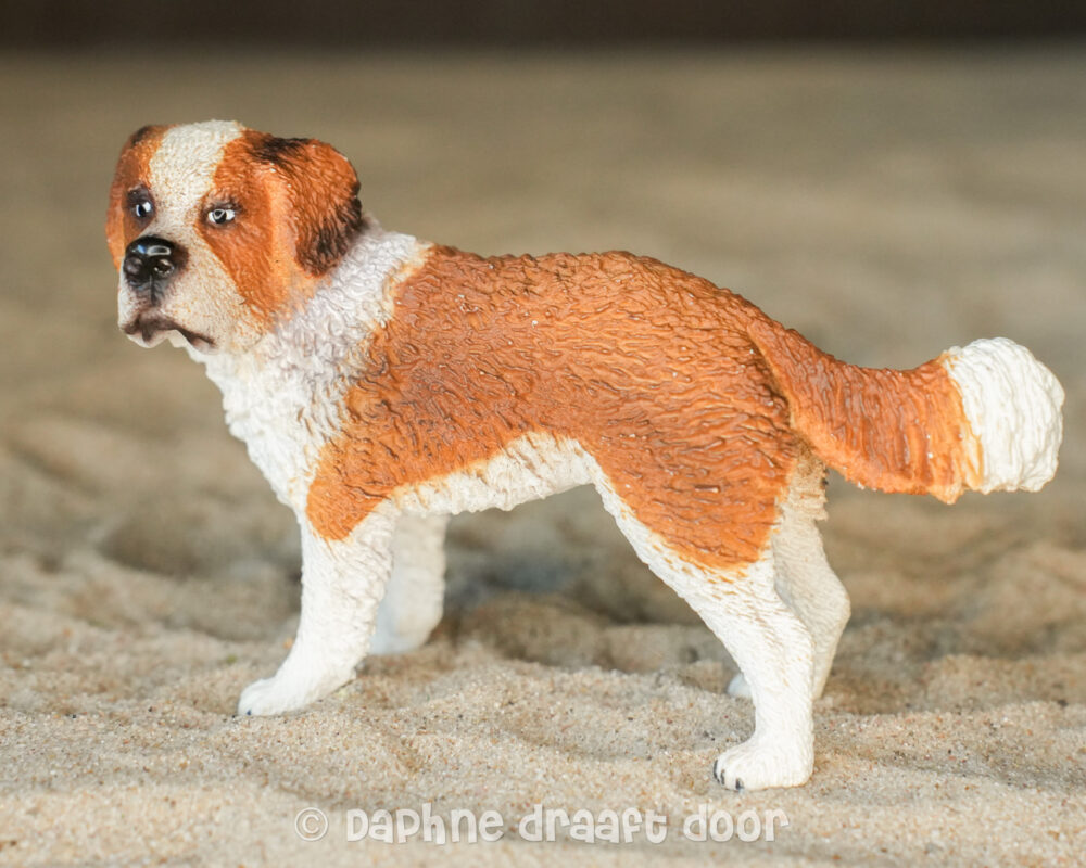 Sint Bernard hond 16833