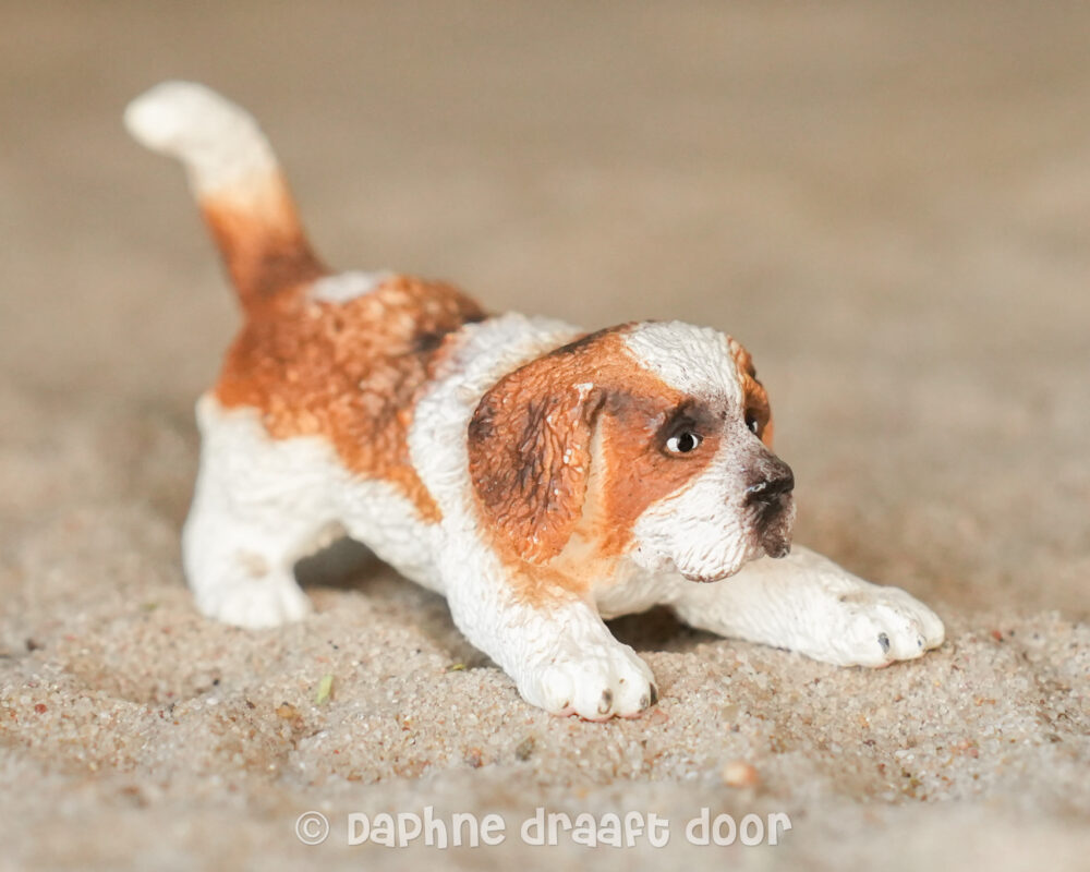 Sint Bernard hond pup 16834