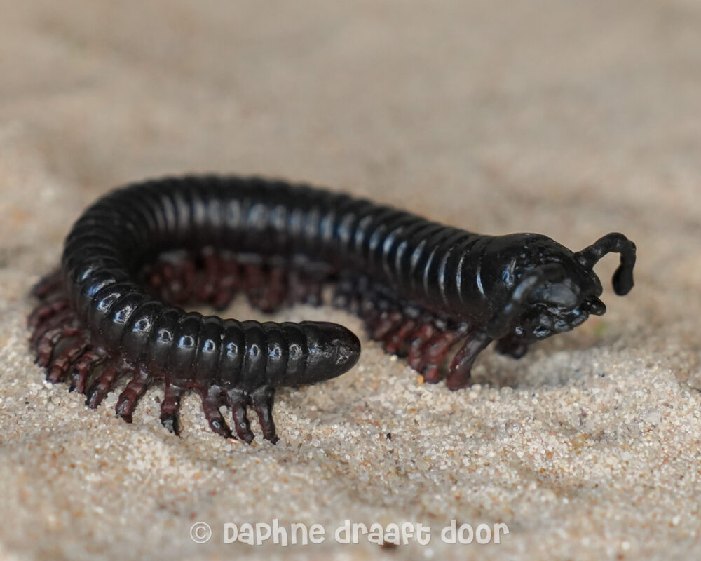 Miljoenpoot uit set 42321