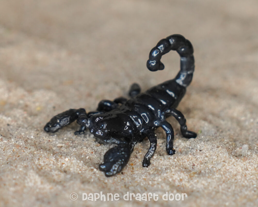 Schorpioen uit set 42321