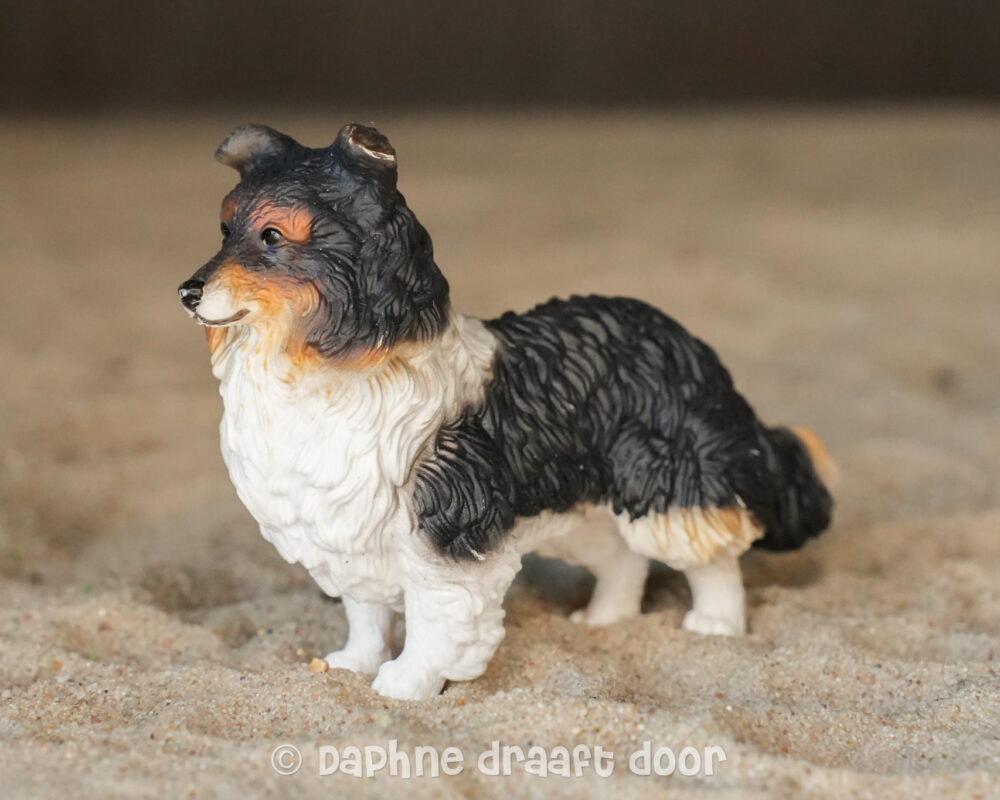 Shetland herdershond uit set 42568