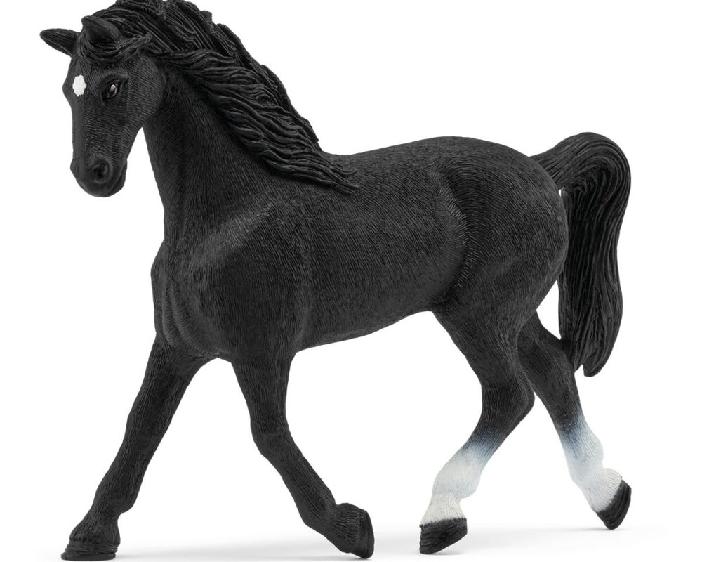 Holstein merrie exclusief 72201