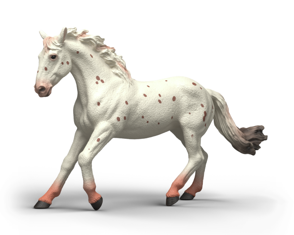 Knabstrupper merrie 14917