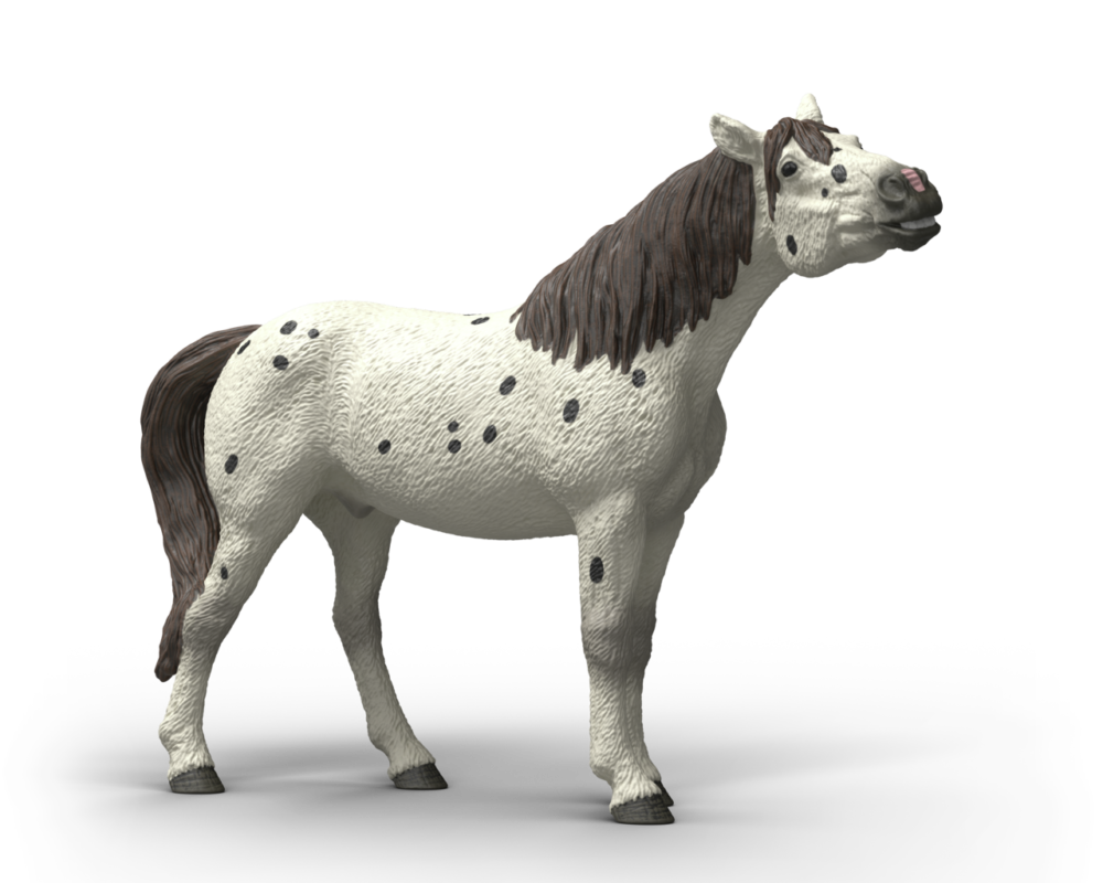 Knabstrupper ruin 14916