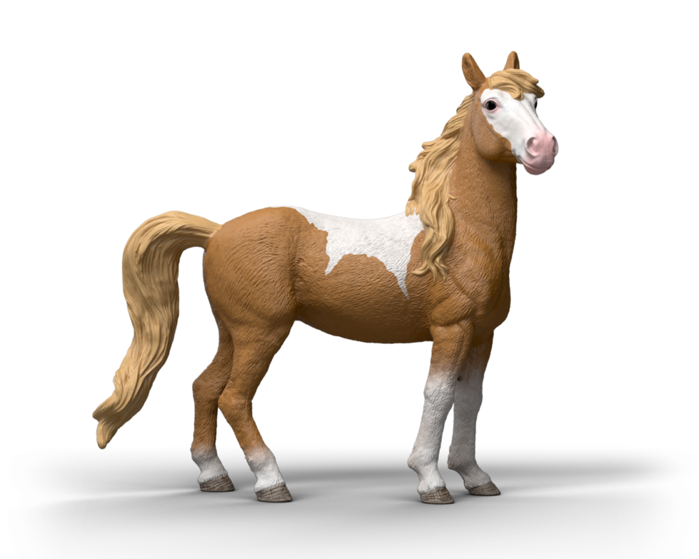 Mustang merrie 14920