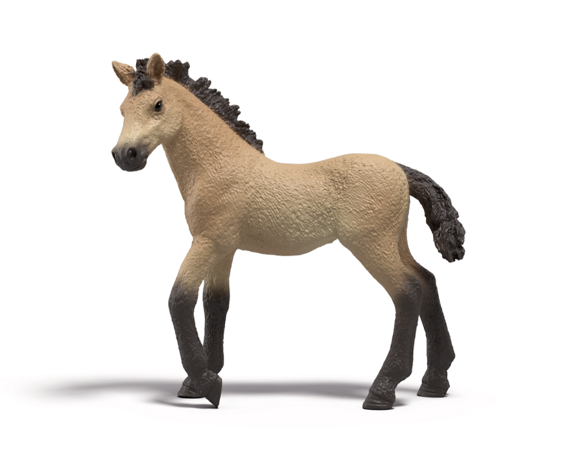 Veulen Delilah 81456