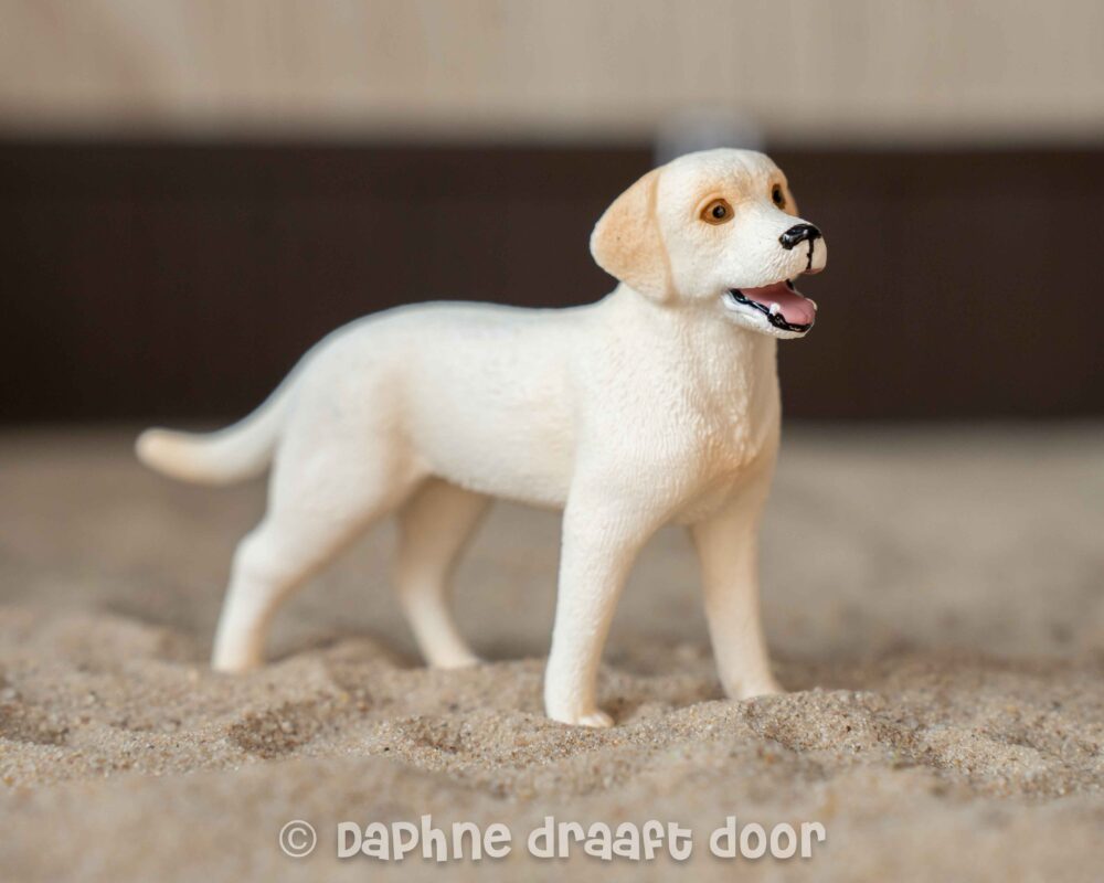 Labrador wit uit set 42478