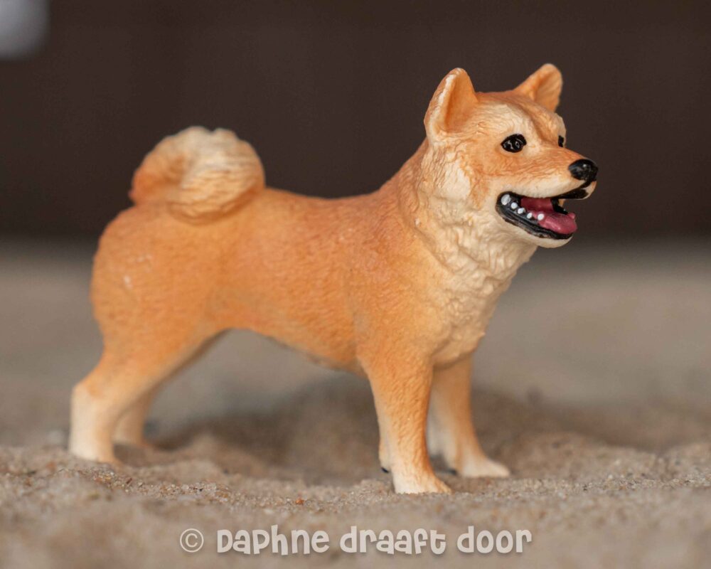 Shiba Inu hond uit set 42479