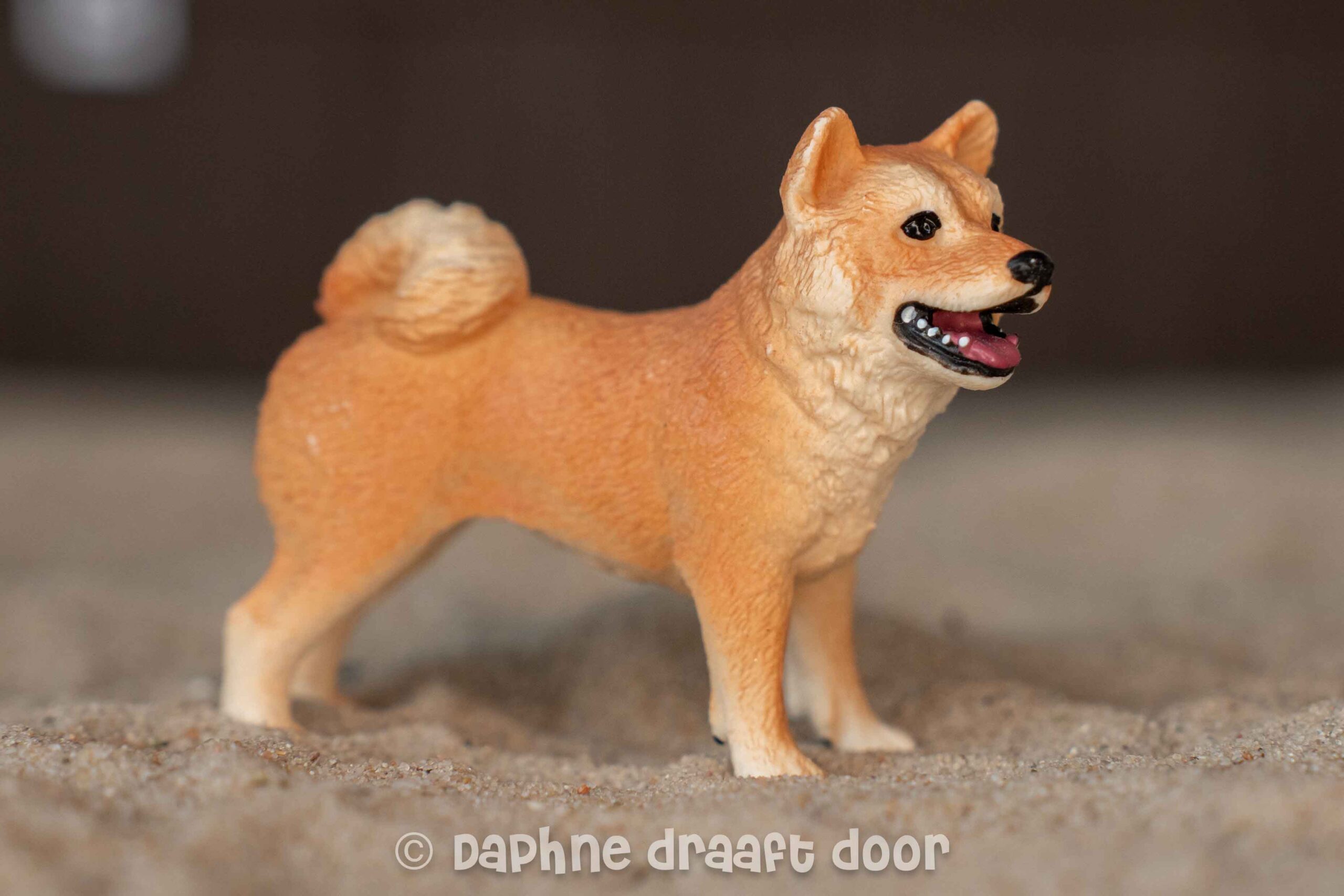 Shiba Inu hond uit set 42479