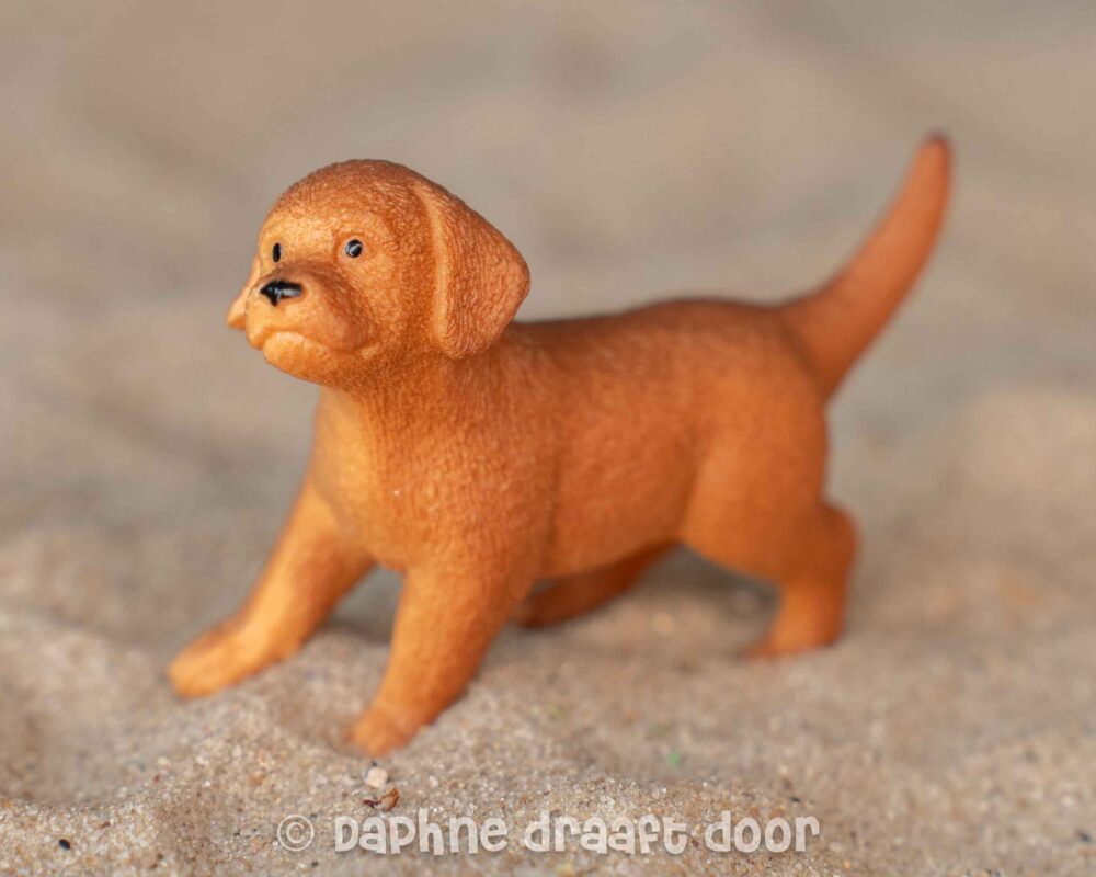 Labrador pup uit set 42543