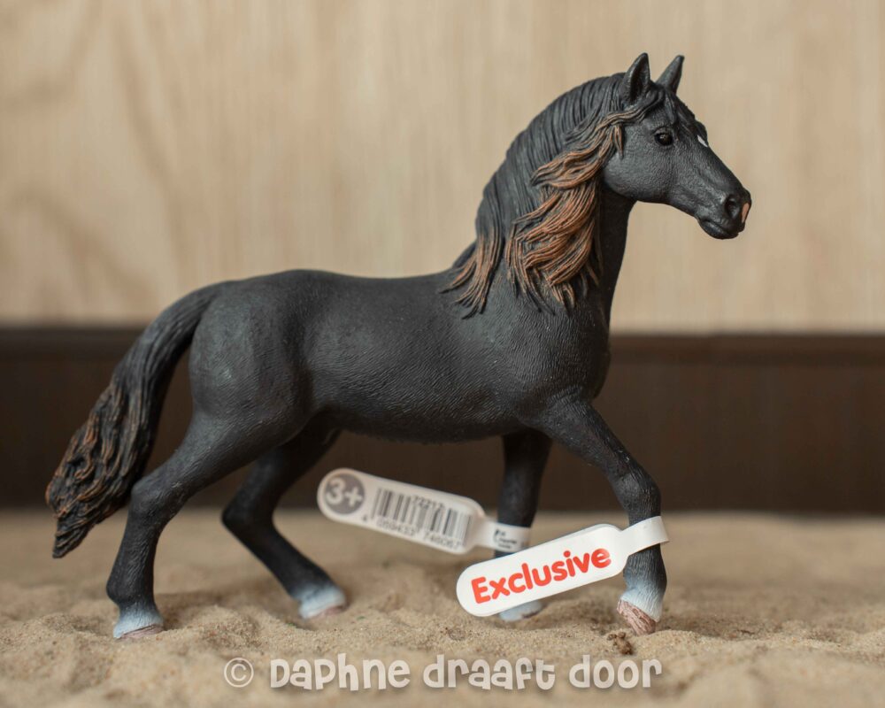 Andalusier hengst Exclusief 72212