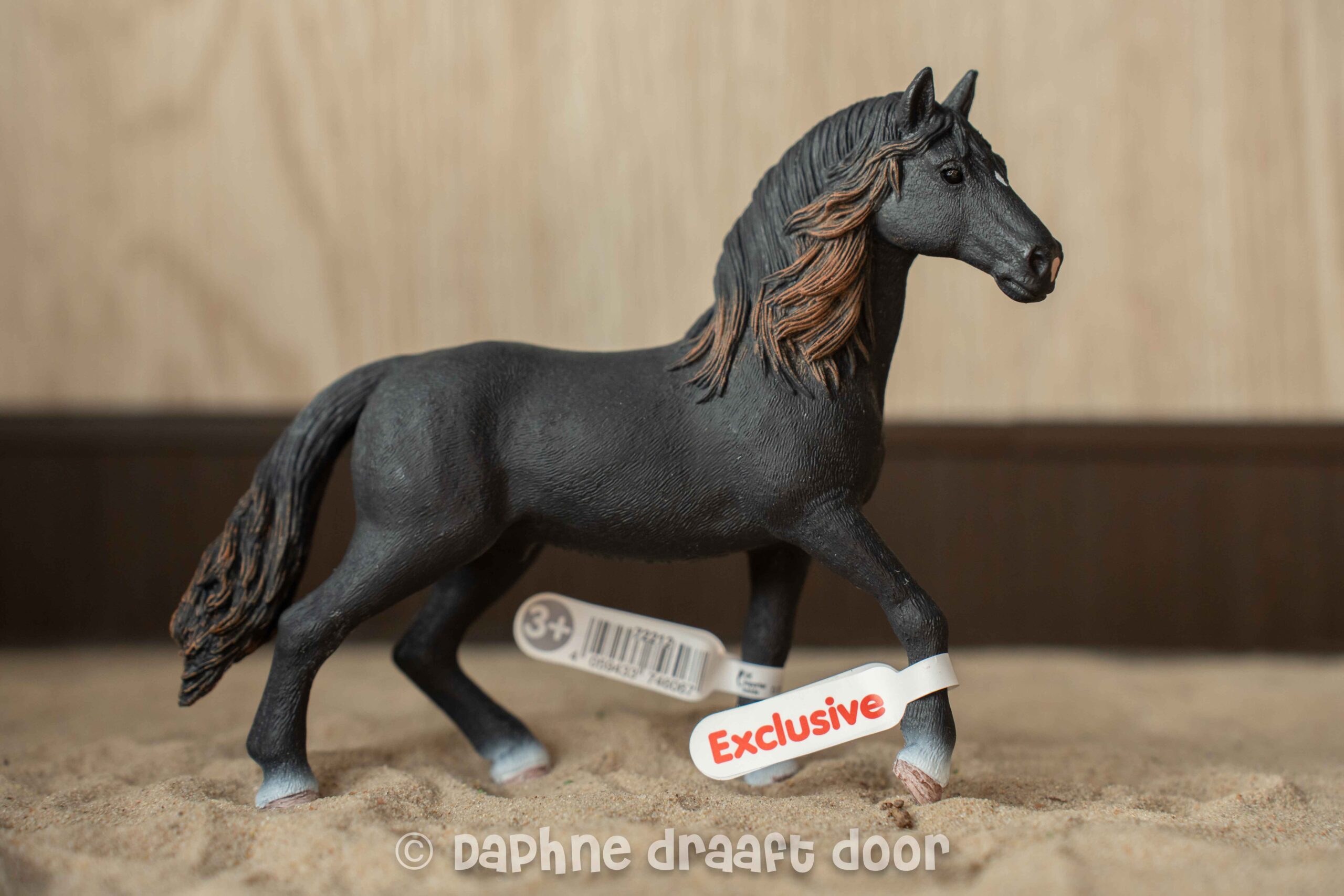 Andalusier hengst Exclusief 72212