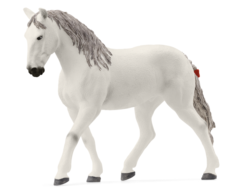 Lipizzaner ruin 72279