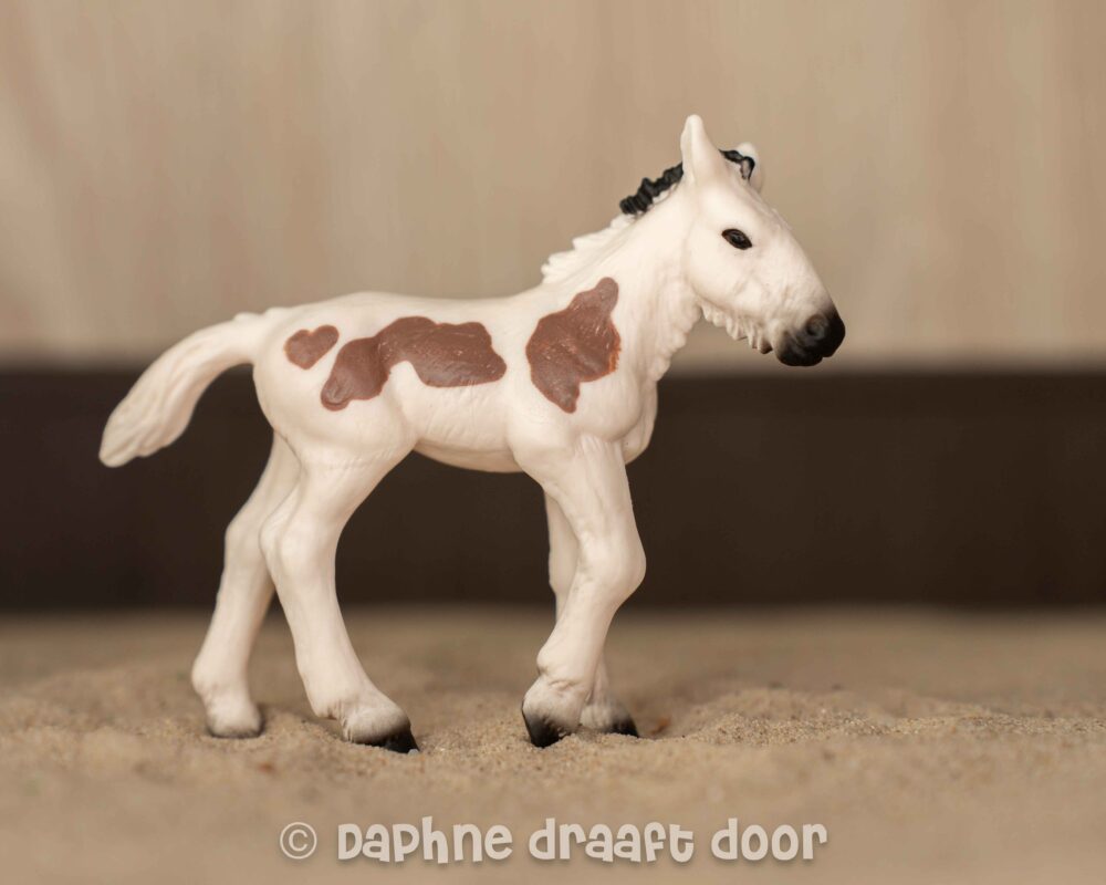 Tinker veulen uit tijdschrift Monty 782348