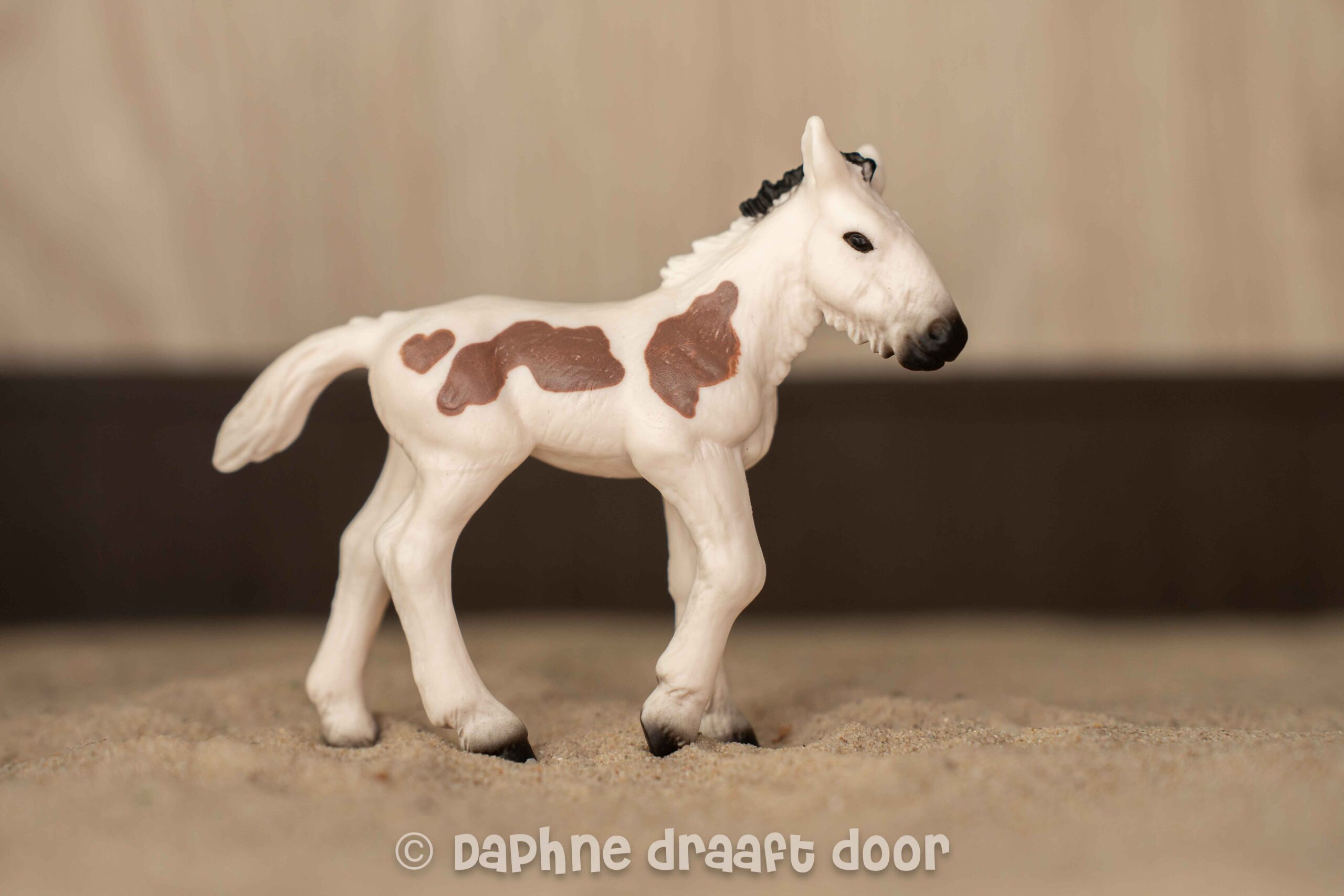Tinker veulen uit tijdschrift Monty 782348