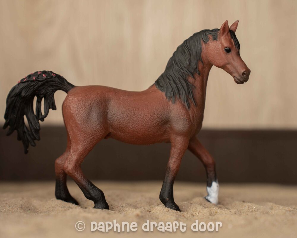 Arabier hengst uit tijdschrift Kamil 782453
