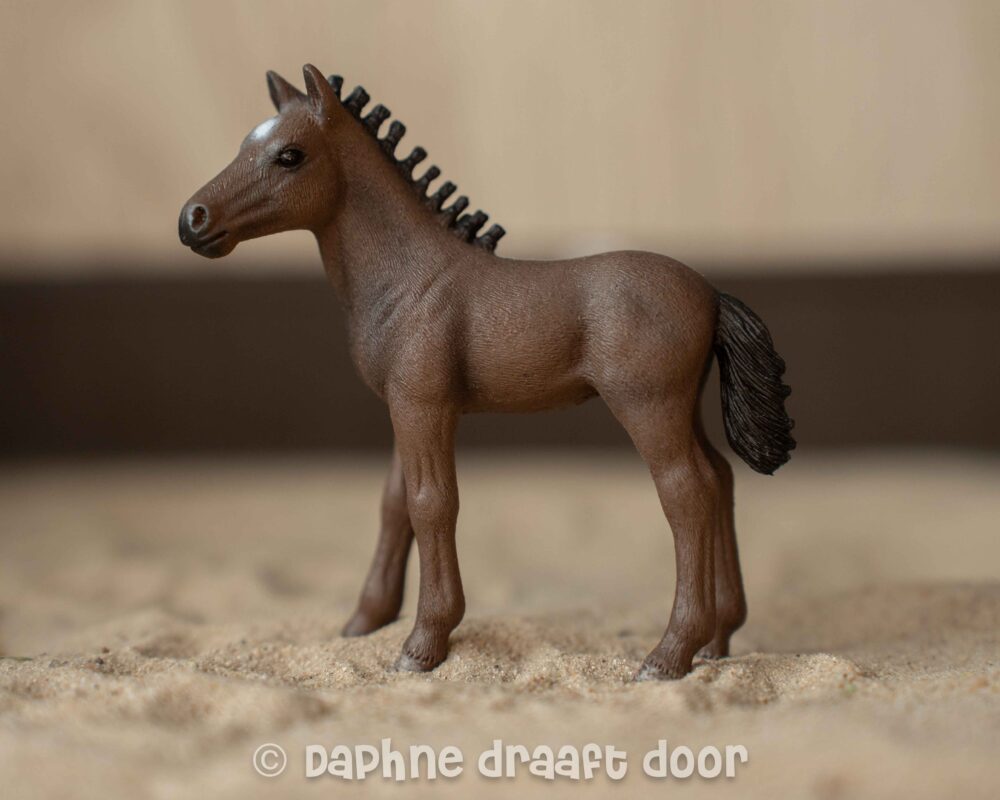 Lipizzaner veulen uit tijdschrift Candy 82923