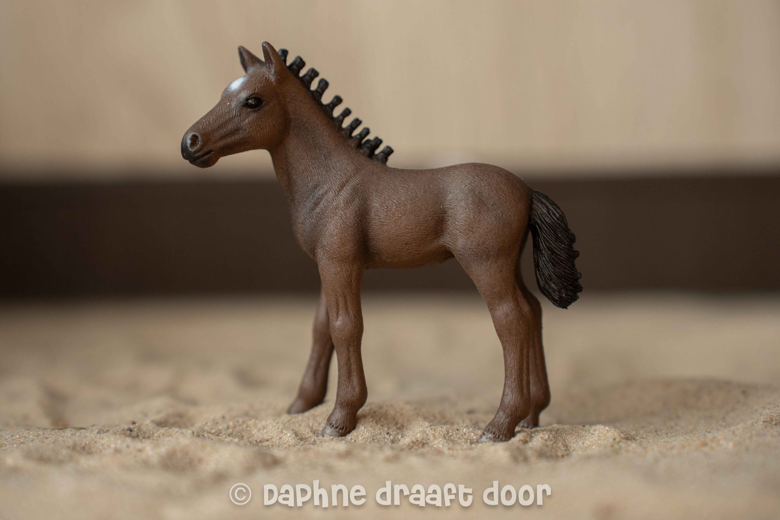 Lipizzaner veulen uit tijdschrift Candy 82923