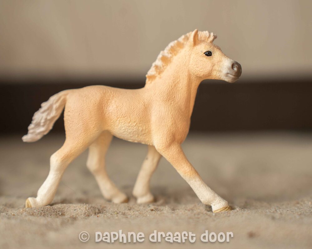 Haflinger veulen uit tijdschrift 82979