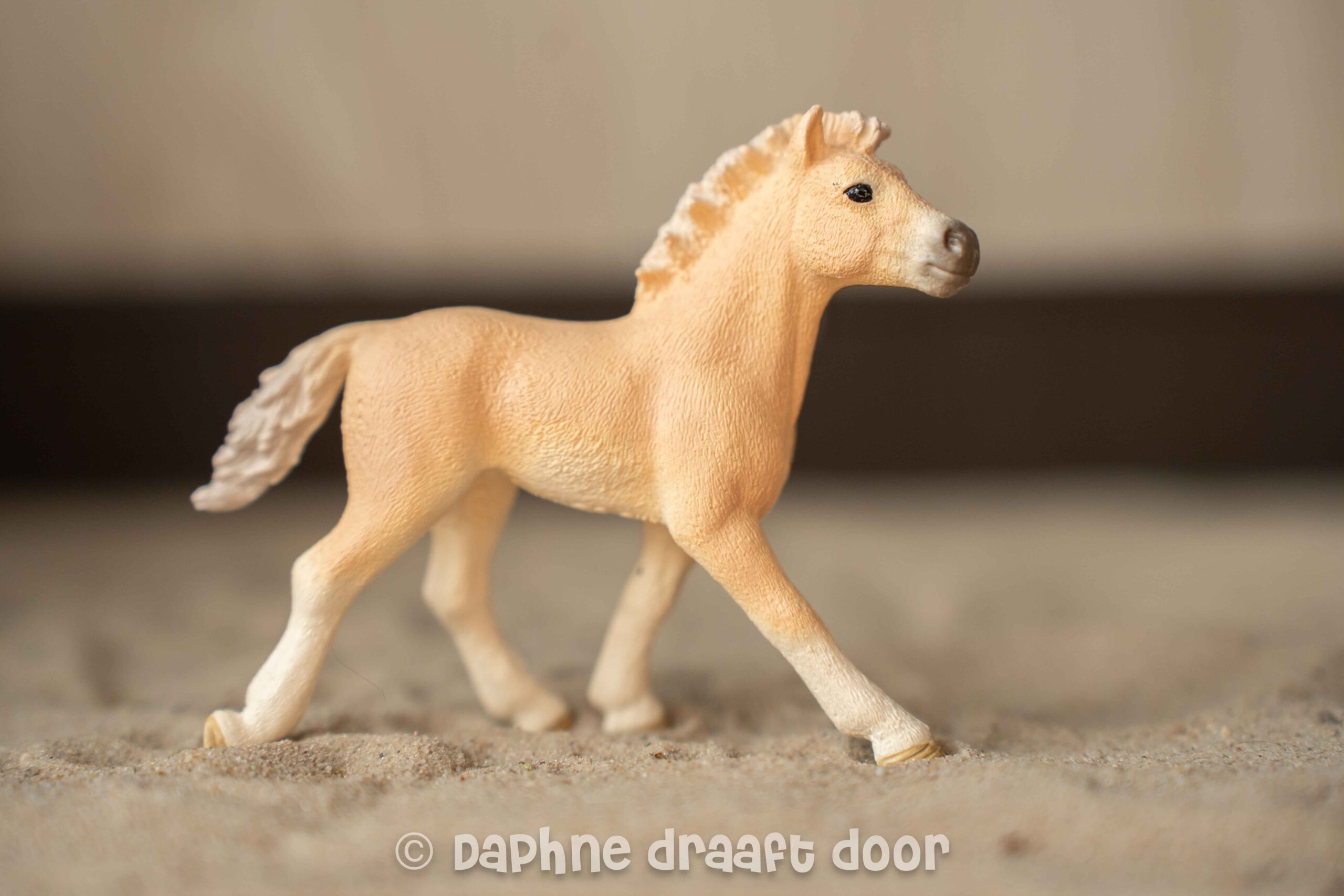 Haflinger veulen uit tijdschrift 82979