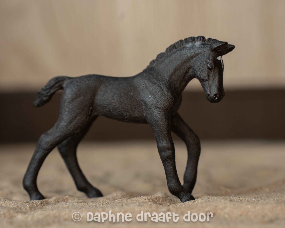 Trakehner veulen uit tijdschrift 82982