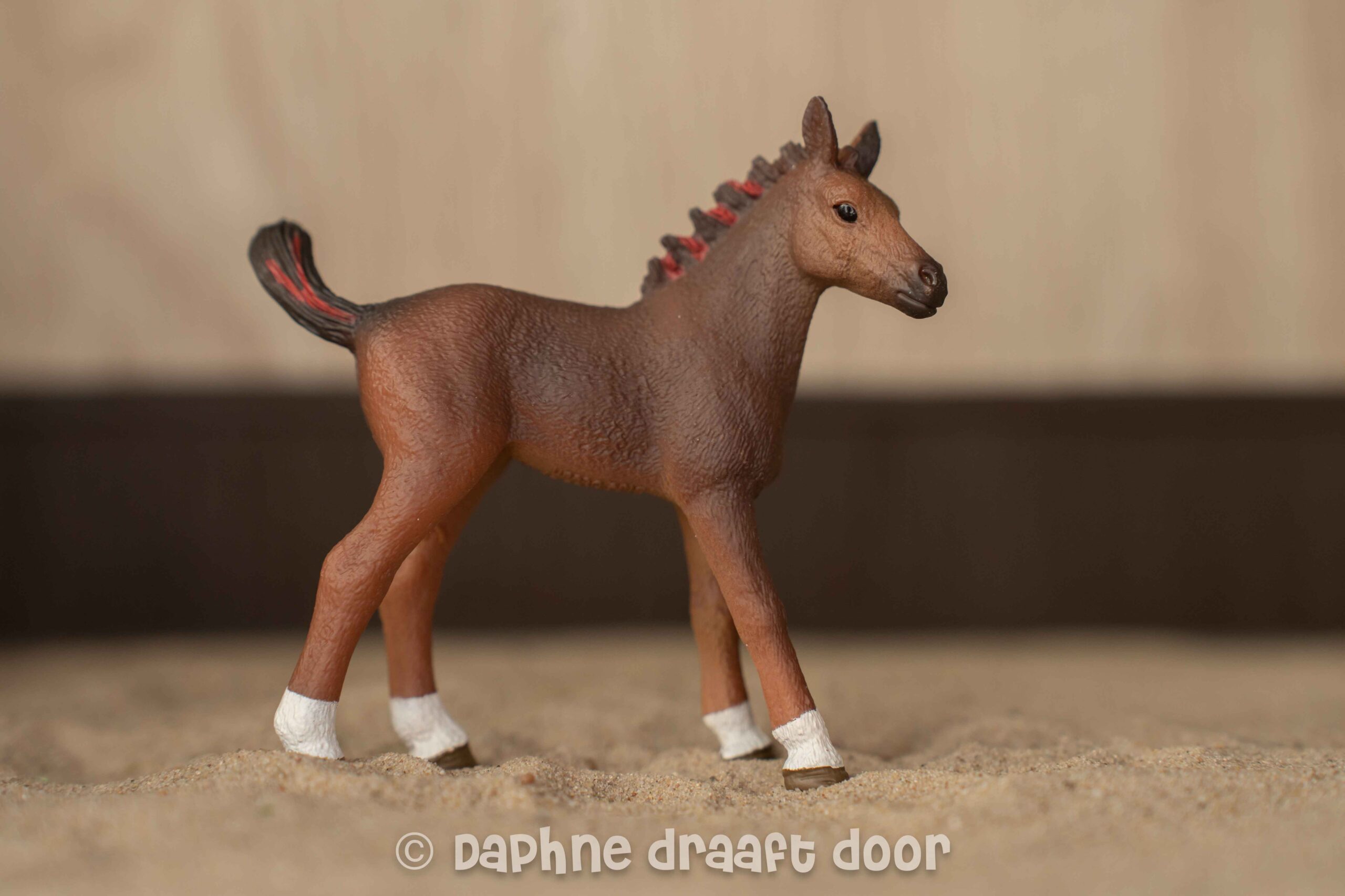 Quarter Horse veulen uit tijdschrift 782456