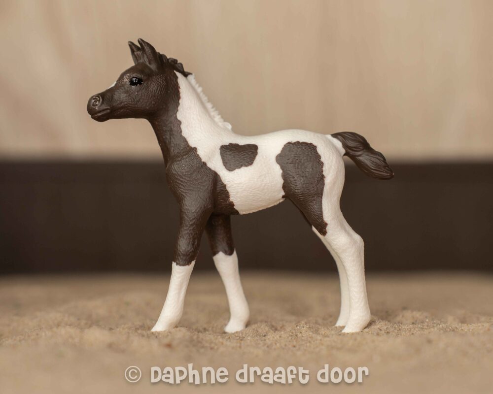Arabier veulen uit tijdschrift Pino 83011
